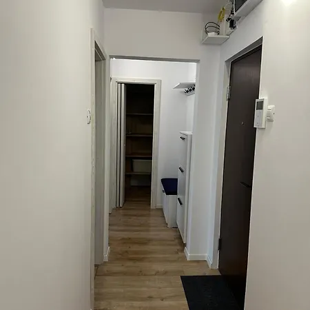 Dan * Cluj-Napoca
